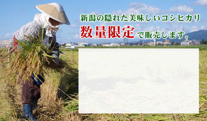 新潟米の新米を販売 < 新潟県産コシヒカリ 玄米 30キロ | 神田農園